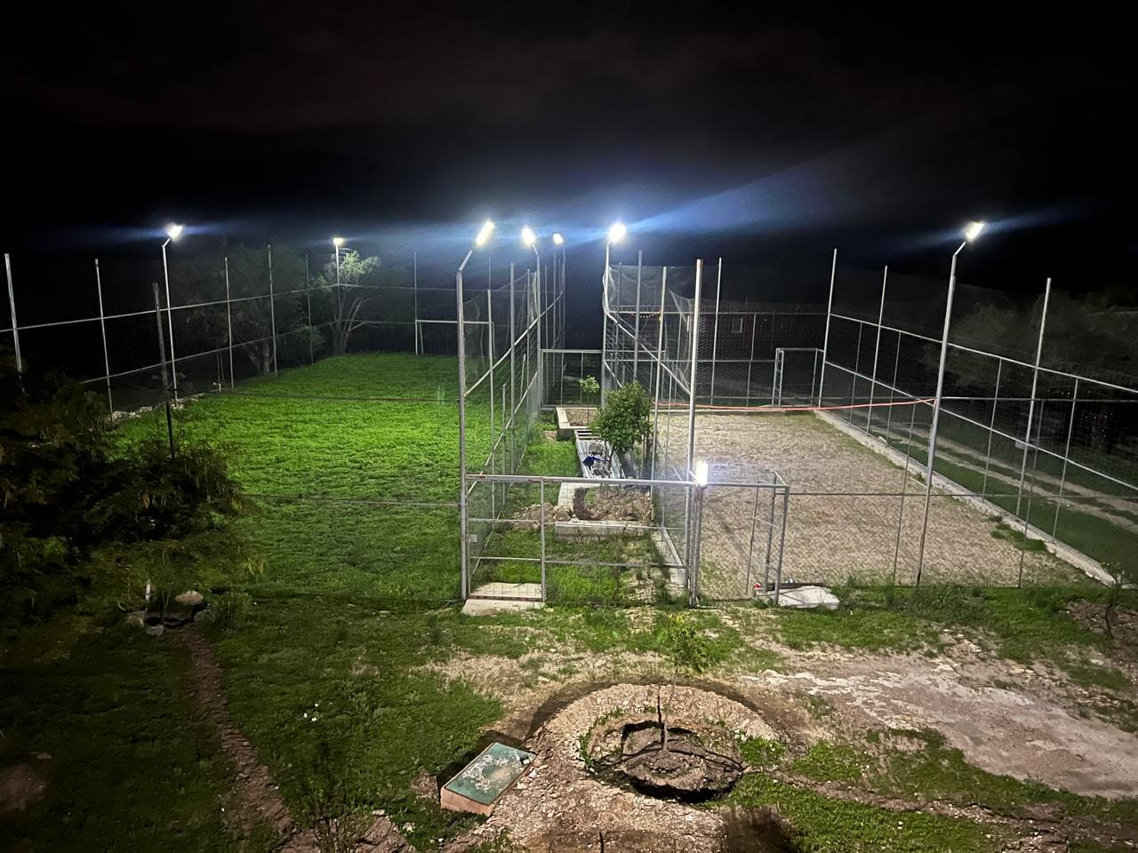 Imagen de la galería