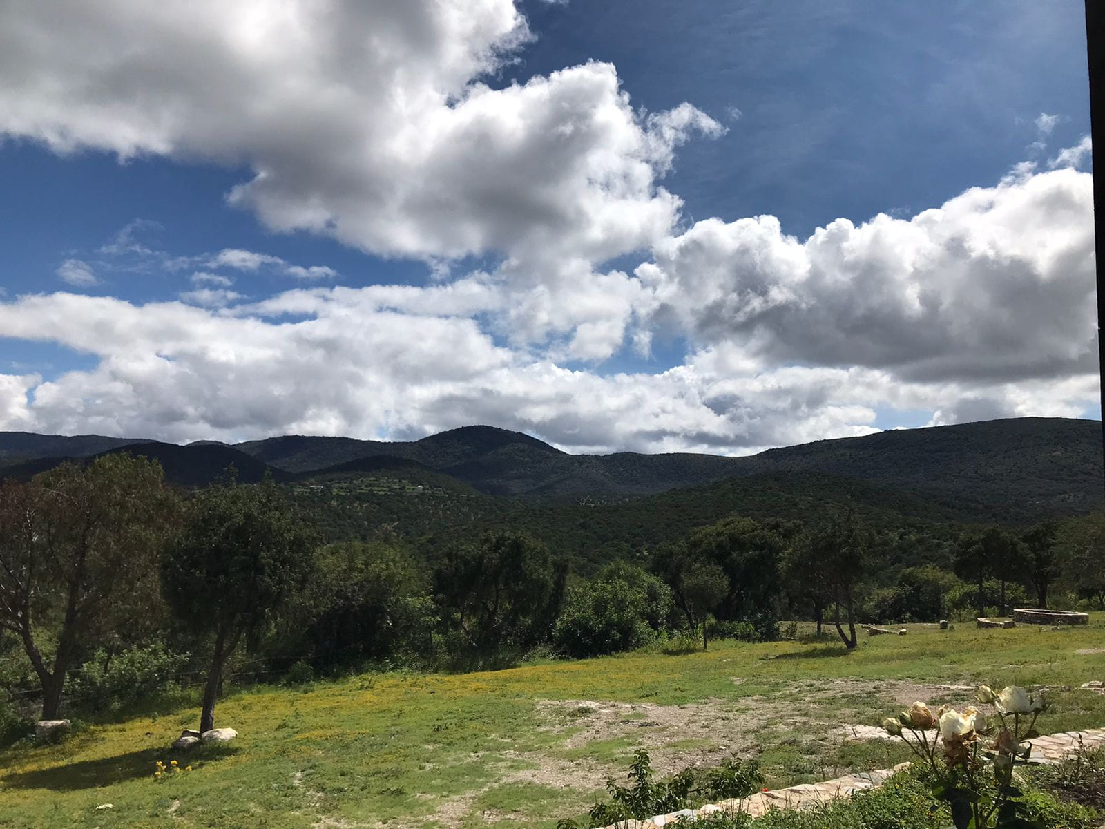 Vista de las montañas verdes que rodean a Ecoturismo Las Cruces