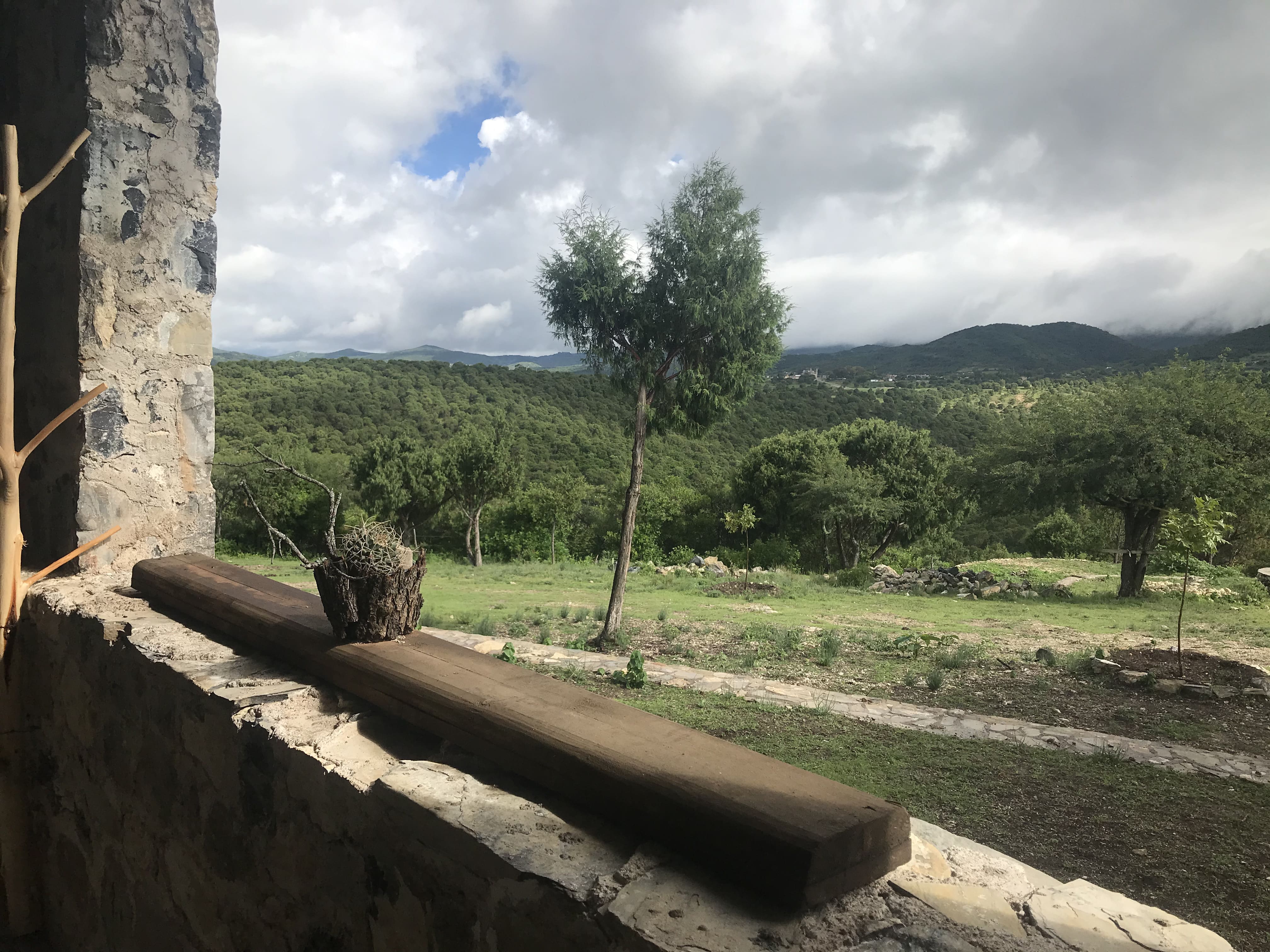 Imagen de la galería